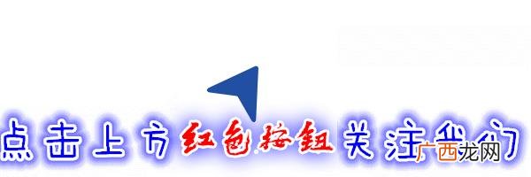 养殖龙虾一亩利润多少,创业商机网养殖龙虾