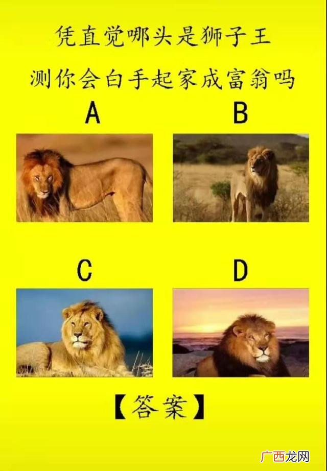 塔罗占卜事业会成功吗 塔罗测试自己创业