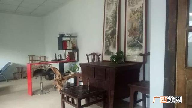多肉植物大棚种植加盟 多肉大棚创业