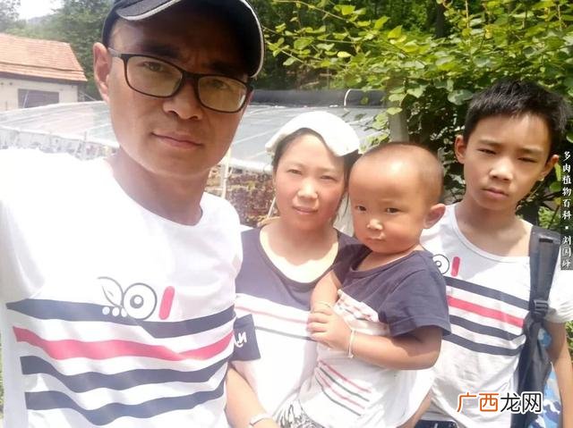 多肉植物大棚种植加盟 多肉大棚创业