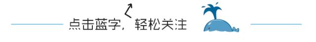 大创网官网入口注册 全国大学生创业服务器网