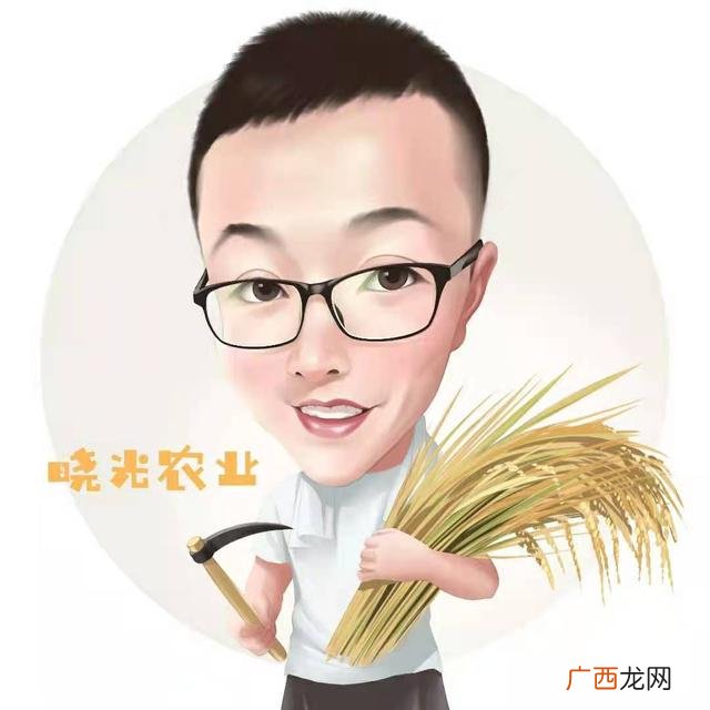 可爱卡通头像,创业卡通头像
