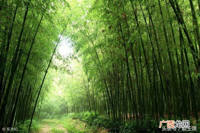 员工如何提升自我价值 创业的自我修养