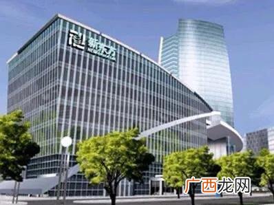俞敏洪团队创业的案例,创业者的案例之俞敏洪
