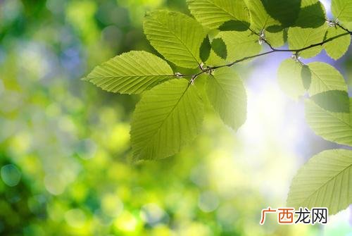 大学生创业社会经济 创业的意义何在-创新的意义何在-
