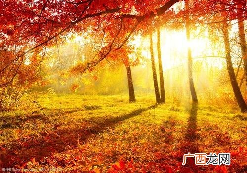 大学生创业社会经济 创业的意义何在-创新的意义何在-