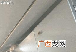 华莱士是哪个地方的,华莱士订餐