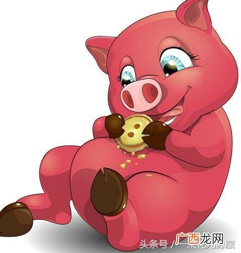 2021年属猪打牌坐哪个方向赢,属猪创业方向