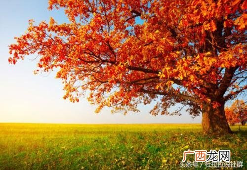哲理短句子精辟,创业哲理句子精辟