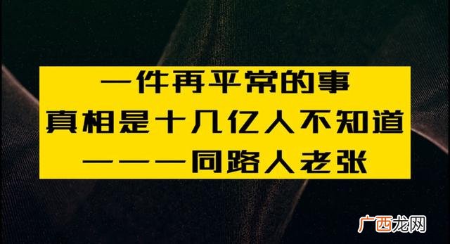 只有同路人,同路人老张创业分享