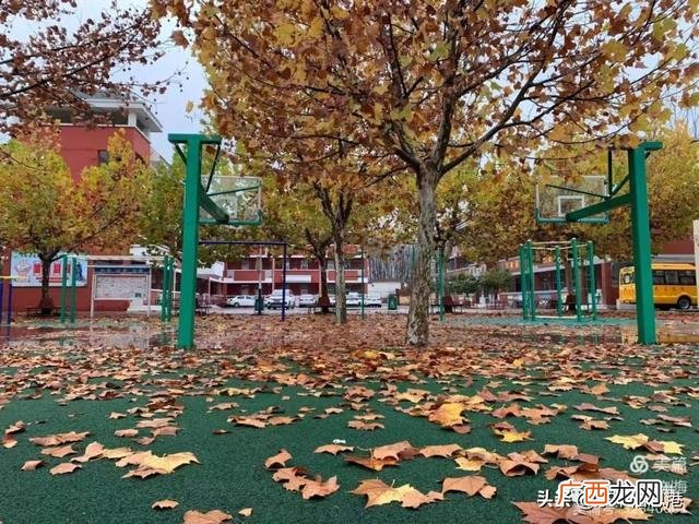 与科技有关的创意树叶画,树叶创业画