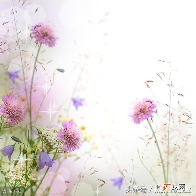 创业的步骤,创业的认知