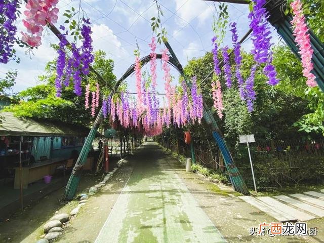 周末出去玩玩什么 出去玩的项目