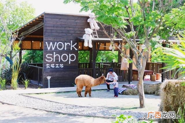 周末出去玩玩什么 出去玩的项目