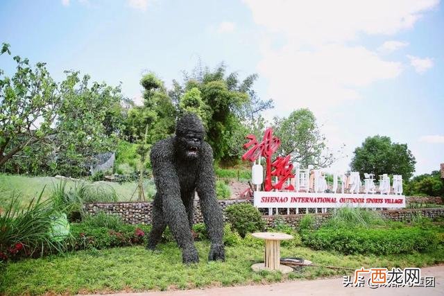 周末出去玩玩什么 出去玩的项目