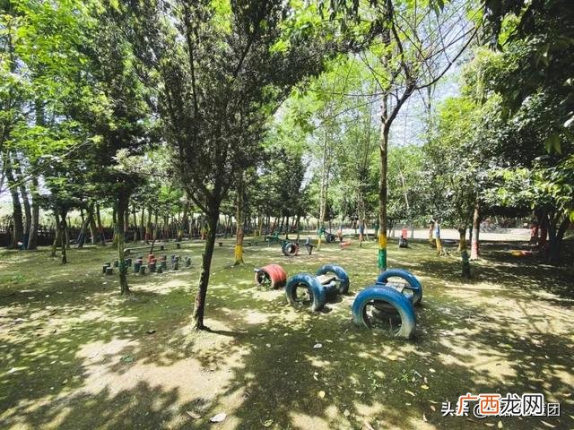 周末出去玩玩什么 出去玩的项目