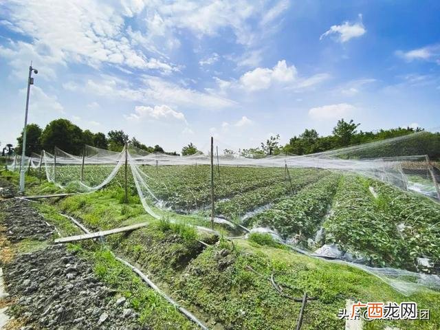 周末出去玩玩什么 出去玩的项目
