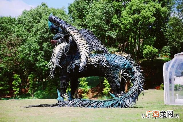 周末出去玩玩什么 出去玩的项目