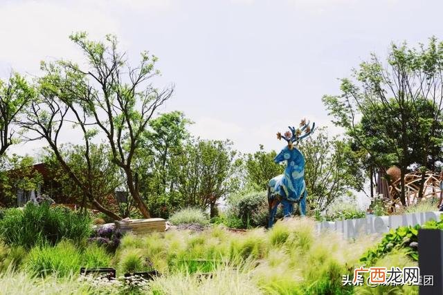 周末出去玩玩什么 出去玩的项目