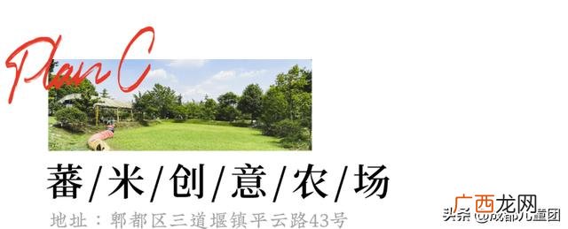 周末出去玩玩什么 出去玩的项目