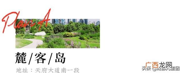 周末出去玩玩什么 出去玩的项目