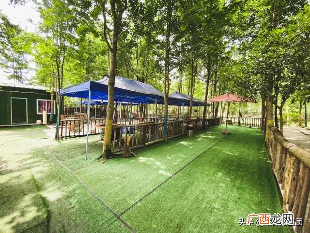 周末出去玩玩什么 出去玩的项目