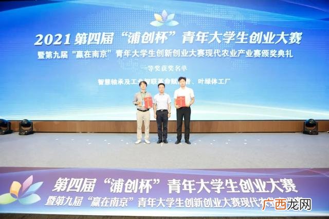 2021年大学生创新创业,2020大学生创新创业大赛