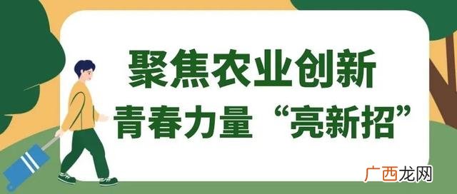 2021年大学生创新创业,2020大学生创新创业大赛