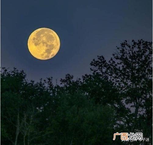 夜深人静的说说,创业苦难的风风雨雨,说说