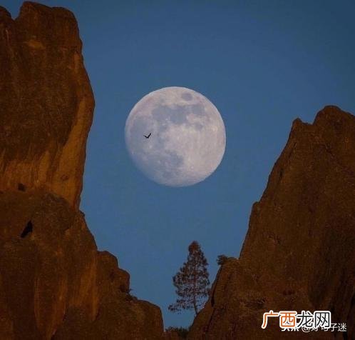 夜深人静的说说,创业苦难的风风雨雨,说说