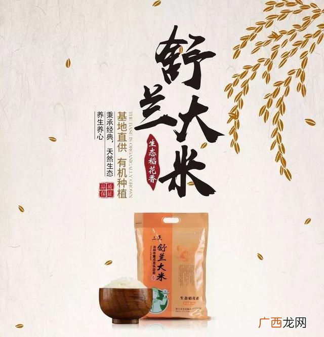 东北百姓创业好项目 东北人科技创业者
