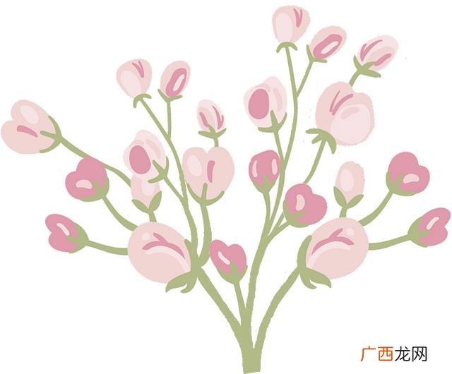 农村好邻居事迹范文500字,创业青年事迹材料