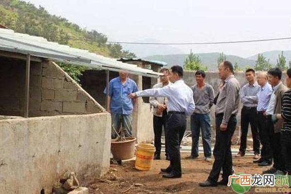 农村办养殖场所需手续 开一个养殖场需要什么手续