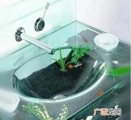 什么店挣钱,创业潜水店