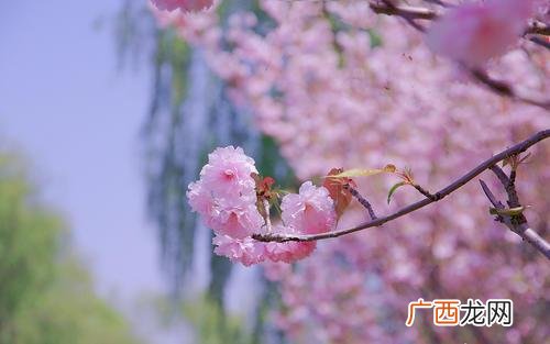 创业励志文案 创业语录经典语录 励志