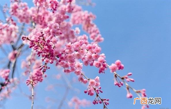 创业励志文案 创业语录经典语录 励志