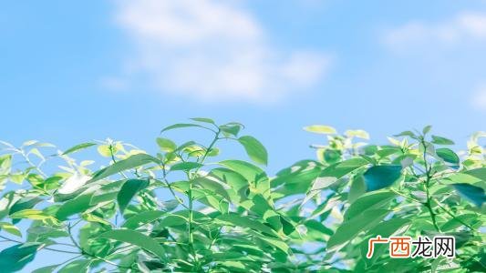 创业励志文案 创业语录经典语录 励志
