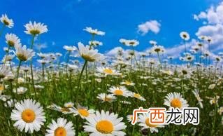 创业励志文案 创业语录经典语录 励志