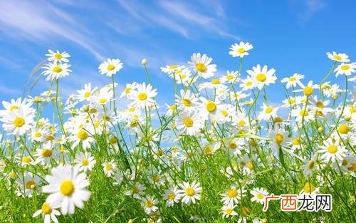 创业励志文案 创业语录经典语录 励志