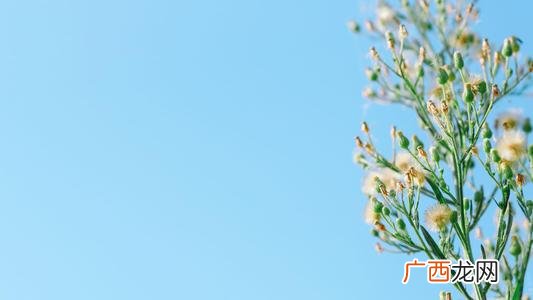 创业励志文案 创业语录经典语录 励志