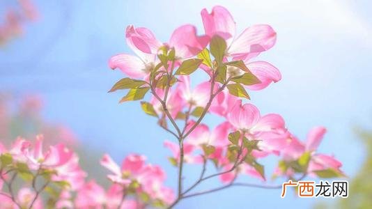 创业励志文案 创业语录经典语录 励志