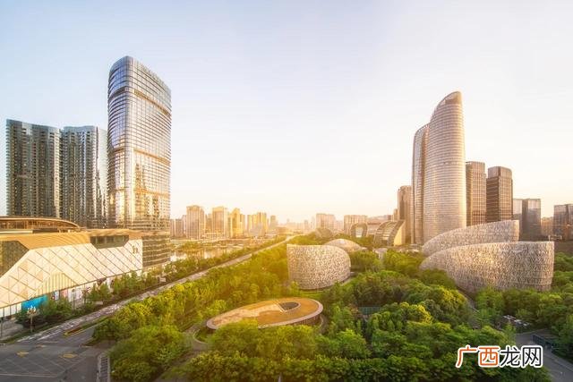 品牌的聚时科技官网 中国品牌创新论坛