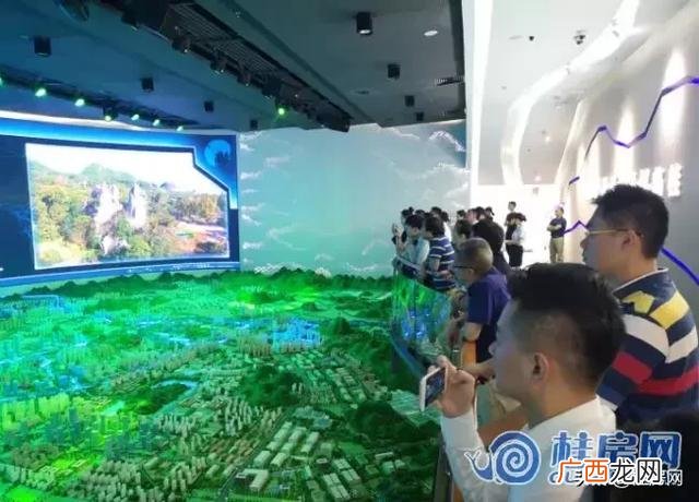 临桂创业大厦的十九棵树 桂林创业大厦现象讲解