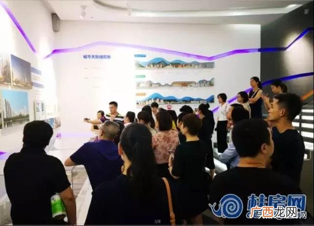 临桂创业大厦的十九棵树 桂林创业大厦现象讲解