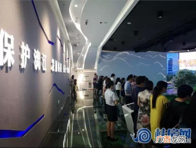 临桂创业大厦的十九棵树 桂林创业大厦现象讲解
