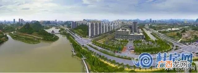 临桂创业大厦的十九棵树 桂林创业大厦现象讲解