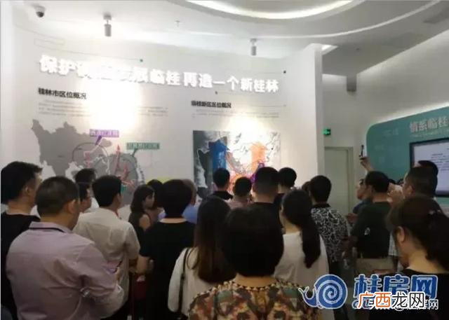 临桂创业大厦的十九棵树 桂林创业大厦现象讲解