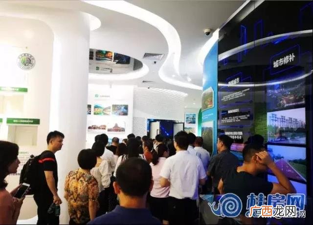 临桂创业大厦的十九棵树 桂林创业大厦现象讲解