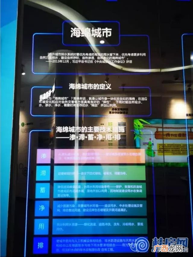 临桂创业大厦的十九棵树 桂林创业大厦现象讲解