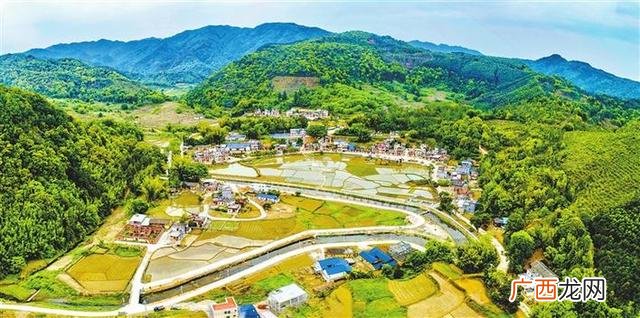 哪些行业能拿到政府创业基金,创业养兔子政府支持吗